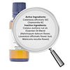 H-Fissures Formula - Anal Fissures Solution - All Natural Pain Free Removal of Rectal Fissures Symptoms. Natures Natural Treatment Alternative. 11ml Size