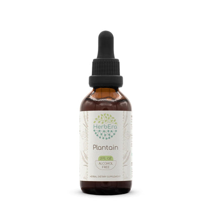 Plantain B60 Alcohol-Free Herbal Extract Tincture, Concentrated Liquid Drops Natural Plantain (Plantago Major) 2 fl oz