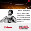 WILSON NBA Authentic Series Basketball - Indoor/Outdoor, Size 7 - 29.5