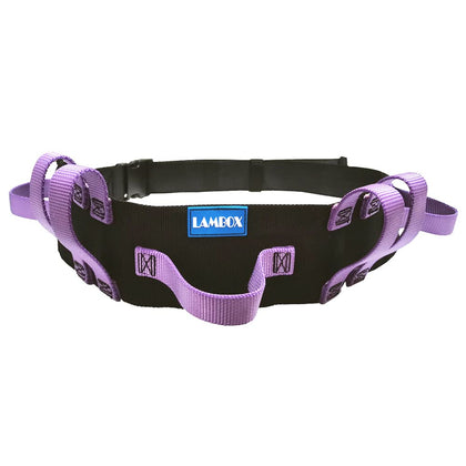 LAMBOX Gait Belt Transfer Belt with Multi Handles-Walking Assist Aid for Elderly, Seniors, Therapy (7 Purple Handles 60