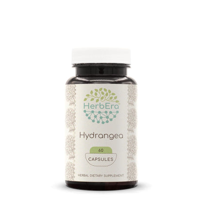 Hydrangea 60 Capsules, 500 mg, Hydrangea (Hydrangea arborescens) Dried Root (60 Capsules)