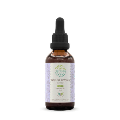 Nexus Formula B60 Alcohol-Free Extract Tincture, Liquid Drops: Ginger Root, Meadowsweet Herb, St. John's Wort Herb, White Willow Bark. 2 Fl Oz