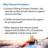 Garden of Life Dr. Formulated Probiotics Prostate+ - Acidophilus and Probiotic Supports Healthy Prostate and Digestive Balance - Gluten, Dairy, and Soy-Free - 60 Vegetarian Capsules