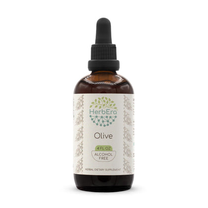 Olive B120 Alcohol-Free Herbal Extract Tincture, Concentrated Liquid Drops Natural Olive (Olea europaea) Dried Leaf 4 fl oz