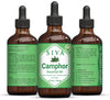 SIVA ORGANICS Siva Camphor Essential Oil 4 Fl Oz - 100% Pure, Natural, Undiluted, Premium Therapeutic Grade, Great for Skincare, Smooth Hair, Diffuser, Aromatherapy, Soap & Candle