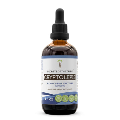 Secrets of the Tribe Cryptolepis Tincture Alcohol-Free Extract, High-Potency Herbal Drops, Tincture Made from Wildcrafted Cryptolepis Sanguinolenta 4 oz