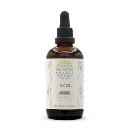 Teasel A120 Alcohol Herbal Extract Tincture, Concentrated Liquid Drops Natural Teasel (Dipsacus fullonum, Dipsacus sylvestris) Dried Root (4 fl oz)