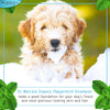 Dr. Mercola Organic Peppermint Shampoo for Dogs - 8 fl oz