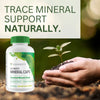 Youngevity Ultimate Mineral Caps - 70+ Essential Full Spectrum Trace Minerals - Nutrient-Dense, Derived from Humic & Aquamin Seaweed (64 Capsule)