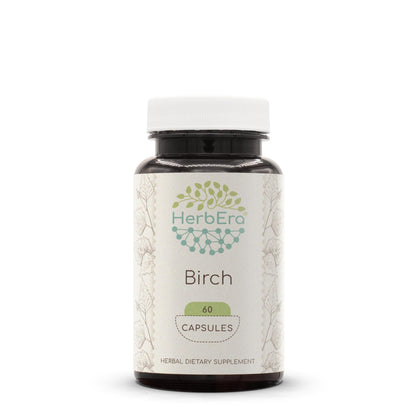 HerbEra Birch 60 Capsules, 500 mg, Made with Birch (Betula Pendula) Dried Leaf (60 Capsules)