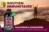 Immunia Fusion - Improve Your Immune Support. Elderberries, Elderflower and Antioxidant Berries Formula. Concentrated Polyphenols (anthocyanins, quercetins). Made with Canadian Elderberry (1 Pack)