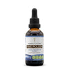 Secrets of the Tribe Pine Pollen Tincture Alcohol-Free Extract, Wildcrafted Pine Pollen (Scots Pine, Pinus sylvestris) Dried Pollen (2 FL OZ)