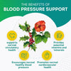 PurePremium Blood Pressure Support Supplement with Hawthorn, Hibiscus & Garlic - Herbal Supplement, Vitamins & Herbs Support Normal Heart Health - Garlic Supplements - 3 Months Supply - 90 Capsules