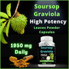 1950mg Soursop Graviola Capsules (Guanábana) Organic Leaves Powder Rich in Potent Anti-Oxidants - 120 Capsules 40 Servings