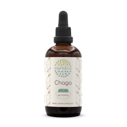 Chaga A120 Alcohol Herbal Extract Tincture, Super-Concentrated Wildcrafted Chaga (Inonotus obliquus) (4 fl oz)