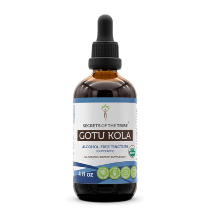 Secrets of the Tribe Gotu Kola USDA Organic | Alcohol-Free Extract, High-Potency Herbal Drops | Made from 100% Certified Organic Gotu Kola (Centella asiatica) Dried Herb (4 oz)