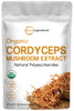 Micro Ingredients Organic Cordyceps Mushroom Extract Powder, 8 Ounces | 100:1 Fruit Body & Mycelium Extract | Active Polysaccharides & Cordycepic Acid | Supports Energy & Immune Health