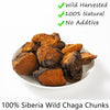 Premium Chaga Mushroom Chunks 7 Oz/199g,Selected Natural Chaga Mushroom Tea,100% Siberian Wild Harvested.