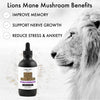 I Am Joy: Lions Mane Mushroom Liquid Extract (Alcohol Free) Double Extraction - Pure, High Concentration, Organic Tincture 4oz 100ml