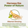 Go Nutra Siberian Ginseng Powder 4:1 Extract 4X Times Stronger Non-GMO 1lb (16 oz) Eleuthero Root