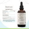 Beetroot B120 Alcohol-Free Herbal Extract Tincture, Concentrated Liquid Drops Natural Beetroot (Beta Vulgaris) Dried Root (4 Fl Oz)