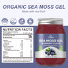 OALSE Sea Moss Gel - 18.5oz Blueberry Flavor Sea Moss Gel Organic Raw Nutritious Organic Sea Moss Gel in Minerals, Proteins & Vitamins, Vegan-Friendly, 2 Tablespoon Daily