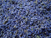 TooGet Culinary Dried Lavender Buds, 100% Raw Highland Grow Lavender Flowers, Ultra Blue Premium Grade Lavender with Food Grade PET Plastic Bottle (4 OZ)