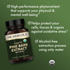 Dr. Mercola Organic Pine Bark Extract, 30 Servings (60 Tablets), with OPCs, Dietary Supplement, Antioxidant Support, Non-GMO, Certified USDA Organic