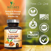 Turmeric Curcumin with BioPerine & Ginger 95% Curcuminoids 1950mg - Black Pepper Extract for Max Absorption, Nature's Joint Support Supplement, Herbal Turmeric Pills, Vegan Non-GMO - 240 Capsules