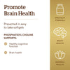 Solgar Phosphatidylcholine, 100 Softgels - Promote Healthy Cognitive Function - Derived From Lecithin - Contains Choline for Neurotransmitter Acetylcholine - Gluten Free, Dairy Free - 50 Servings