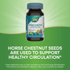 Nature's Way Standardized Horse Chestnut, Premium Extract, Promotes Healthy Leg Veins*, 250 mg per Serving, Vegan, 90 Capsules (Packaging May Vary)