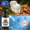 I Am Joy: Lions Mane Mushroom Liquid Extract (Alcohol Free) Double Extraction - Pure, High Concentration, Organic Tincture 4oz 100ml