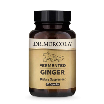 Dr. Mercola Fermented Ginger Beer, 0.5 Ounce