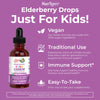 MaryRuth's Cocomelon Kids Elderberry Syrup | USDA Organic Elderberry | Sugar Free Kids Immune Support Supplement for Ages 4-13 Years | Clean Label Project Verified®, Vegan, Gluten Free | 1 Fl Oz