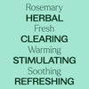 Plant Therapy Rosemary Essential Oil for Hair Growth, 100% Pure, Undiluted, Natural Aromatherapy for Diffuser & Rosemary Oil for Hair & Scalp, Therapeutic Grade 30 mL (1 oz)