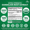 Zazzee USDA Organic Dandelion Root 10:1 Extract, 3000 mg Strength, 120 Capsules, 4 Month Supply, Standardized and Concentrated 10X Extract, 100% Vegetarian, All-Natural and Non-GMO