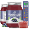 OALSE Sea Moss Gel - 18.5oz Blueberry Flavor Sea Moss Gel Organic Raw Nutritious Organic Sea Moss Gel in Minerals, Proteins & Vitamins, Vegan-Friendly, 2 Tablespoon Daily