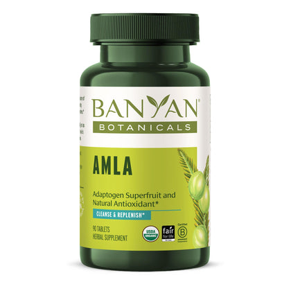 Banyan Botanicals Amla (Amalaki) Tablets - Organic Emblica Officinalis - Natural Source of Vitamin C and Antioxidants - Supports Digestion and Cleansing* - 90 Tablets - Non GMO Sustainably Sourced