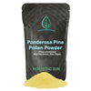 Holistic Bin Organic Pine Pollen Powder Pharmaceutical Grade, Wild Harvested, Golden Canadian Pine Pollen | Non GMO, No Additives | Pure Pollen Supplement Made from The Ponderosa Pine Tree, 20 g