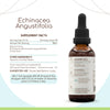 Echinacea Angustifolia B60 Alcohol-Free Herbal Extract Tincture, Super-Concentrated Responsibly farmed Echinacea(Echinacea spp.) 2 fl oz