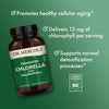 Dr. Mercola Fermented Chlorella with Chlorophyll, 90 Servings (450 Tablets) Dietary Supplement, Supports Immune and Organ Health, Non GMO, NSF Certified