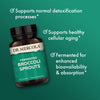 Dr. Mercola Fermented Broccoli Sprouts, 30 Servings (30 Capsules), Dietary Supplement, Supports Detoxification Processes, Fermented Nutrients, Non-GMO (Expiry 9/01/2025)