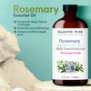 MAJESTIC PURE Rosemary Essential Oil | Premium Grade, 100% Natural and Pure Rosemary Oil for Hair Growth, Skin, Face, Aromatherapy & Essential Oils for Diffuser | 4 fl oz