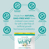 Designer Wellness, Designer Whey, Natural Whey Protein Powder with Probiotics, Fiber, and Key B-Vitamins for Energy, Gluten-Free, French Vanilla, 2 lb