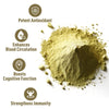 UNLEASH'D ORGANIC Ginkgo Biloba Powder 1 Pound, Supports Brain Function and Mental Alertness, Vegan Friendly Ginkgo Leaf Powder Organic, Raw, Non GMO