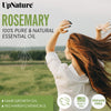 UpNature Rosemary Oil for Hair Growth - 100% Pure & Natural Rosemary Essential Oil, Nourishing Scalp Treatment - Hair Growth Serum - 2oz