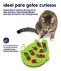 Catstages by Nina Ottosson Buggin' Out Puzzle & Play - Interactive Cat Treat Puzzle