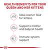 Royal Canin Feline Health Nutrition Mother & Babycat Ultra Soft Mousse in Sauce Wet Canned Cat Food, Supports Healthy Digestion and Brain Development, 3 oz, 6 Pack