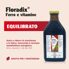 Flora, Floradix Iron + Herbs, Natural Liquid Iron Supplement, 17 fl Ounce (500 ML)