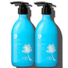 L LUSETA Coconut Milk Shampoo & Conditioner, Nourishing & Moisturizing Hair, Sulfate & Paraben Free, Keratin & Color Safe, 16.9oz Each